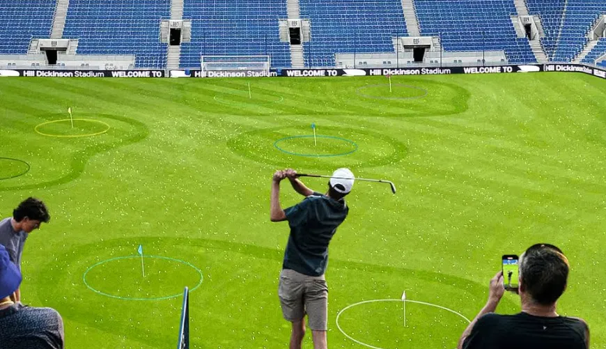 How Did This Idea Come to Life?